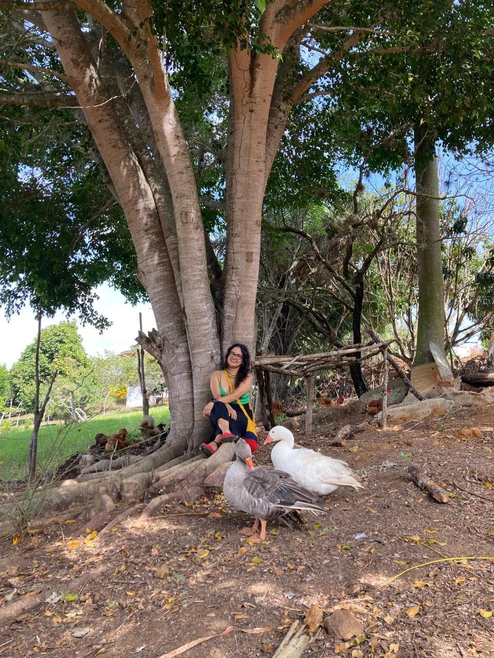 Animales en la finca